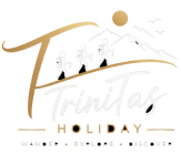 Trinitus Holiday