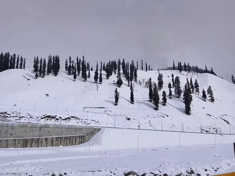 Kashmir Tour