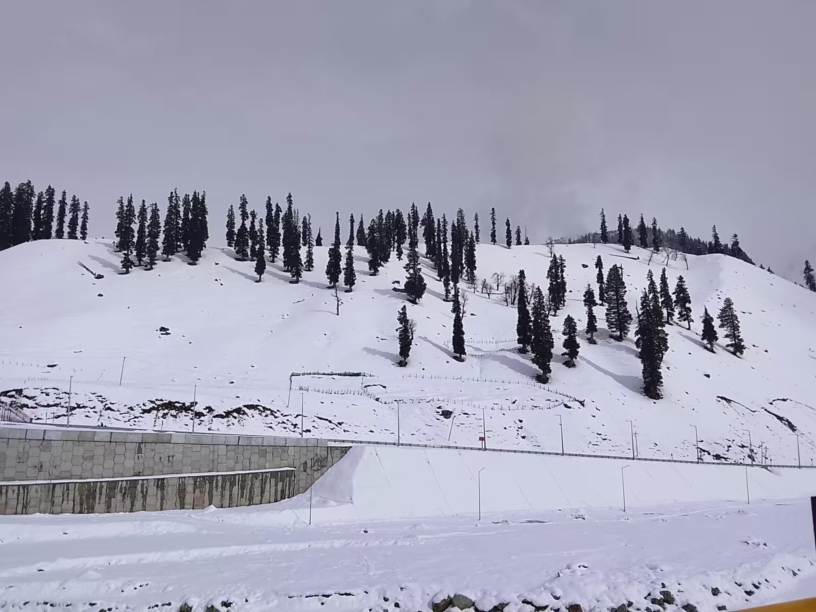 Kashmir